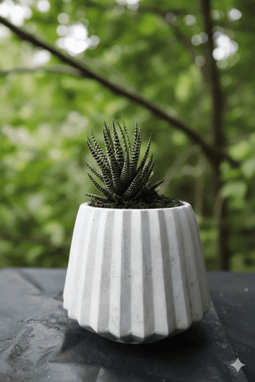 Dale vida a tus espacios: elige la matera perfecta para tu hogar